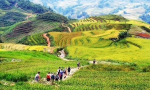 Sapa Medium Trekking 03 Nights & 03 Days (By bus)