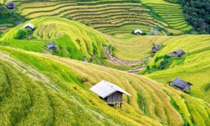 Sapa by bus 2 days 01 night