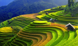 Sapa by bus 2 days 01 night